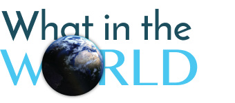 What in the world logo